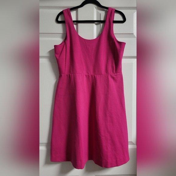 NWT J Crew Womens Elegant Berry Pink Sleeveless A Line Dress - Size L - Picture 1 of 8